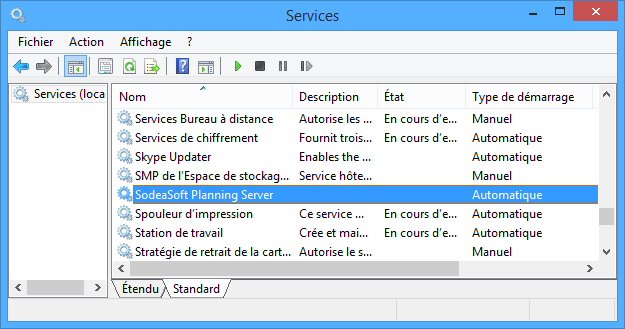 Service SodeaSoft Planning server